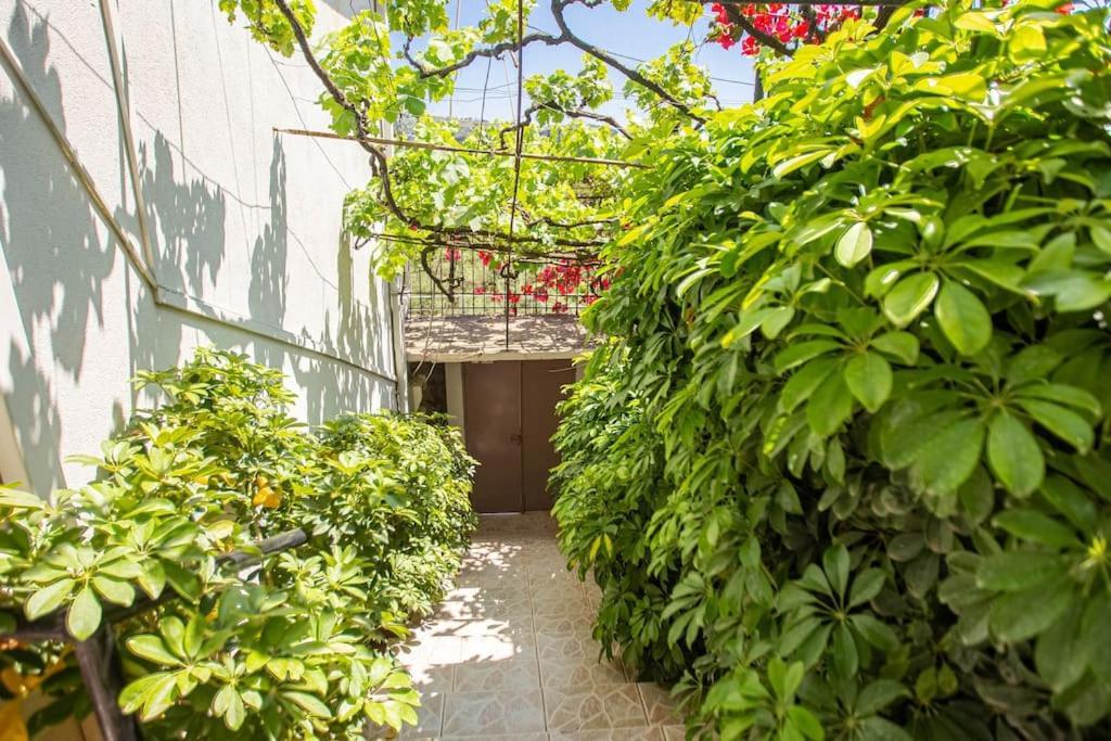 Apartament Blue Maraci 2 - Sea View, Kitchen, Beach Access Himara Zewnętrze zdjęcie